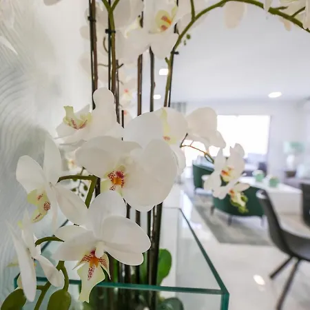 Apartment Beautiful Apartment, Close To The Beach! Nazare